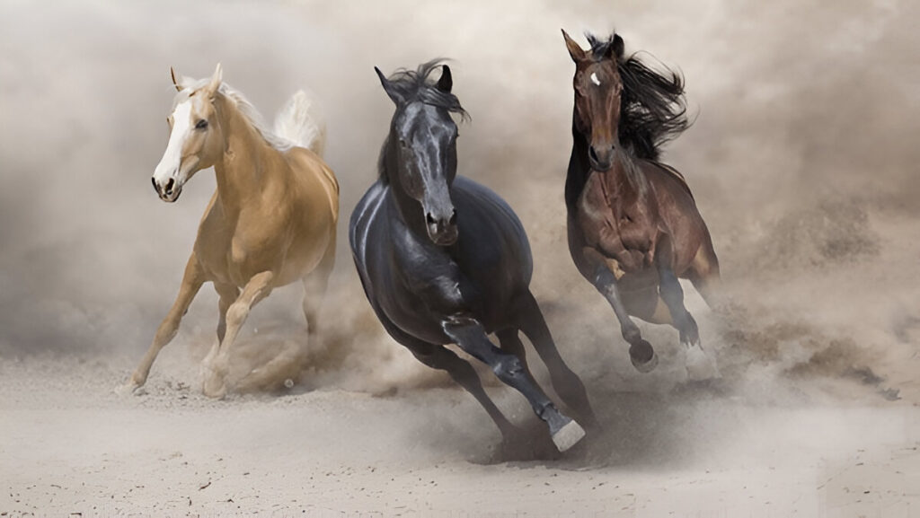 Best Horse names