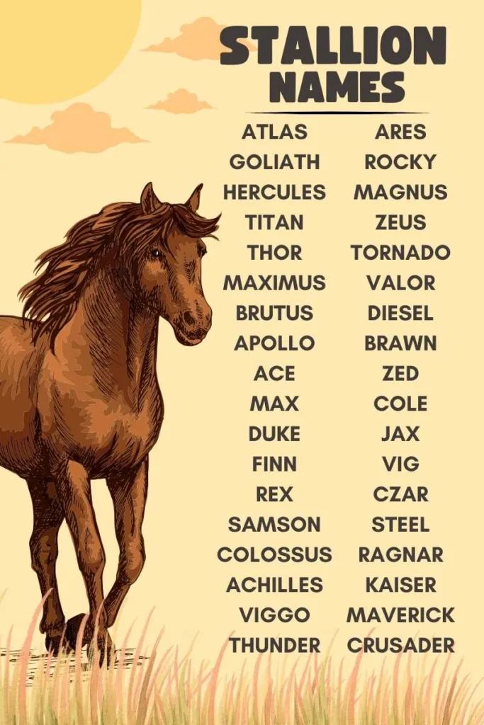 top stallion names